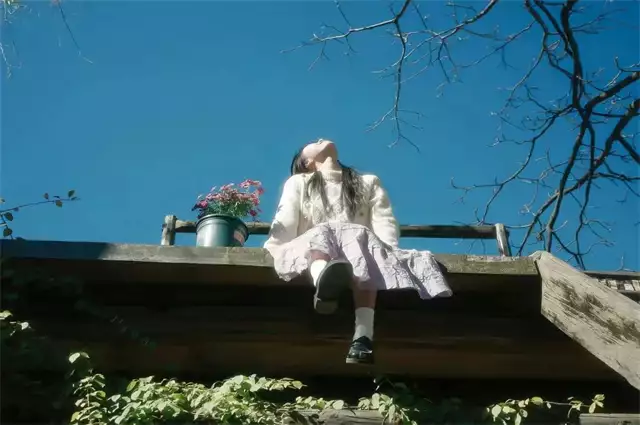 顶流一天的开销,够我买几套房?-吃瓜